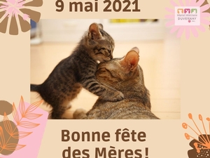 Bonne fête à toutes les mamans!