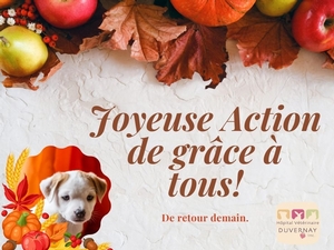 Joyeuse Action de grâce!