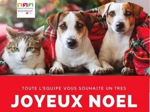 Joyeux Noel!