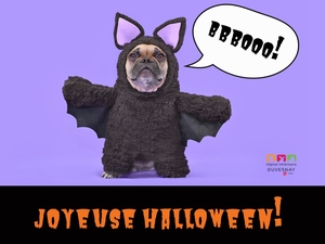 Joyeuse Halloween!