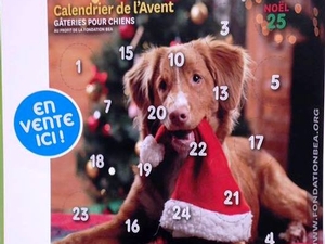 Calendrier de l'Avent pour chiens