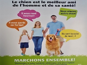 Le chien est le meilleur ami de l'homme et de sa santé!