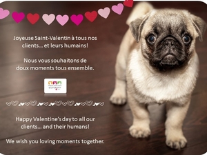 JOYEUSE SAINT-VALENTIN À TOUS!