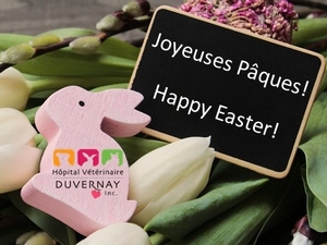 Joyeuses Pâques!