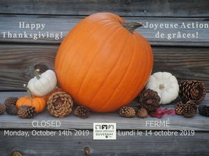 Closed - Monday, October 14th 2019