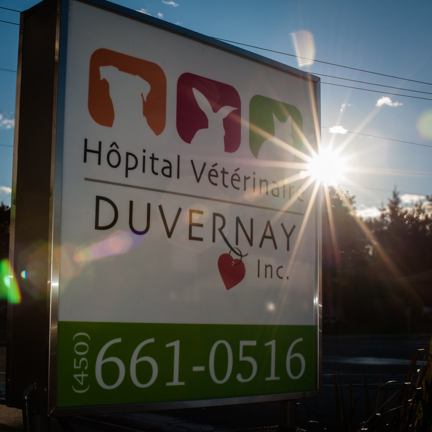 Enseigne de l'Hôpital Vétérinaire Duvernay au coucher du soleil