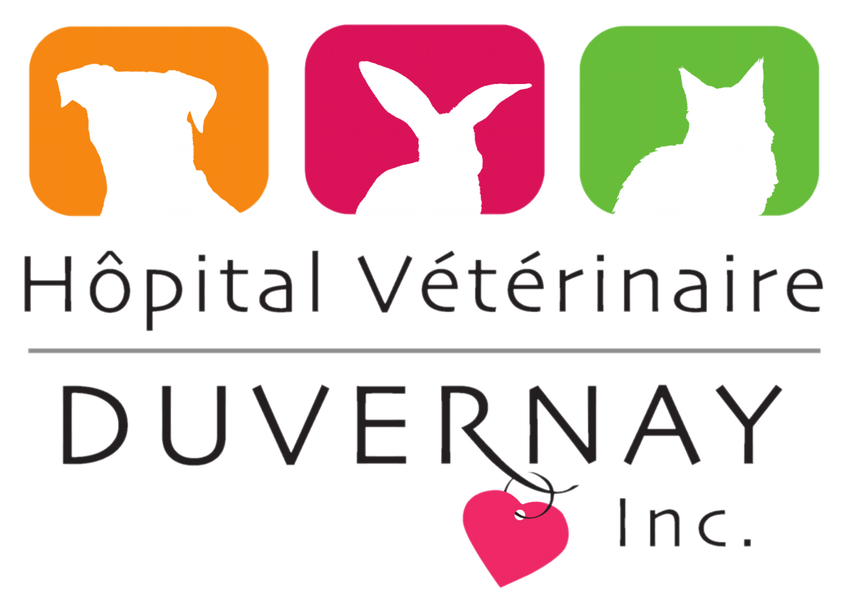Hôpital Vétérinaire Duvernay