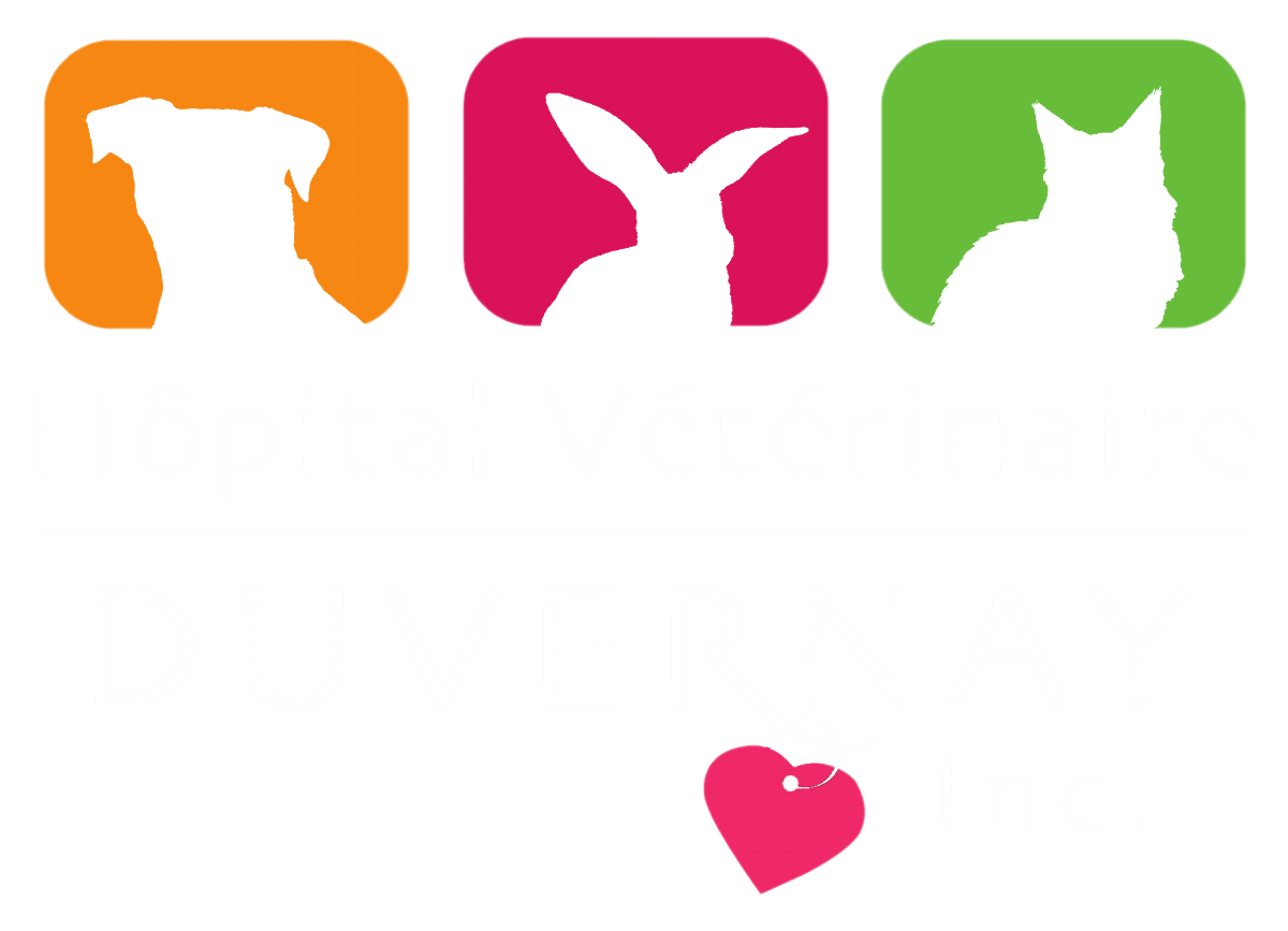 Hôpital Vétérinaire Duvernay