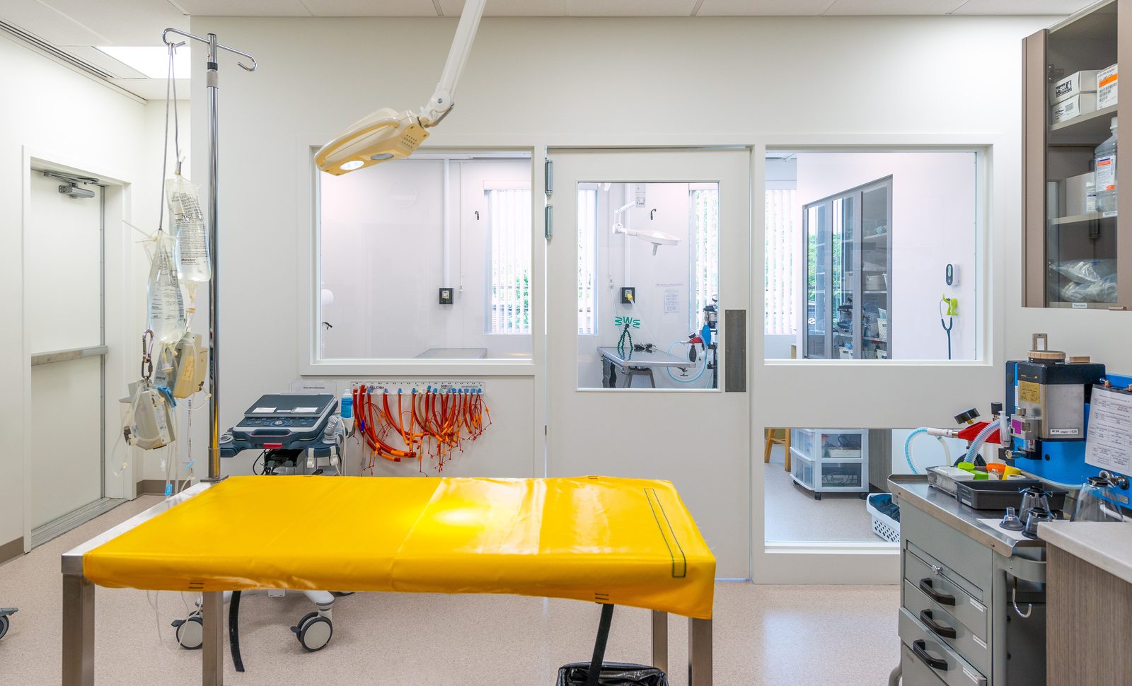 Préparation et chirurgie — Hôpital Vétérinaire Duvernay