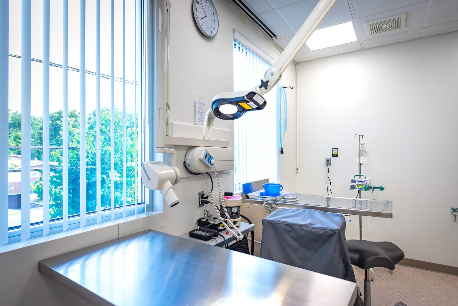 Dentisterie — Hôpital Vétérinaire Duvernay