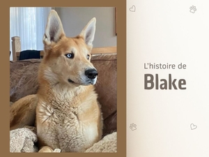 L'histoire de Blake