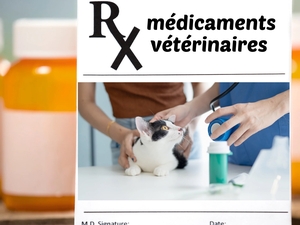 La vente libre de médicaments vétérinaires