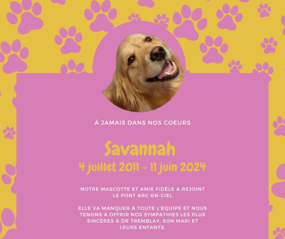 Au revoir Savannah!